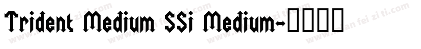 Trident Medium SSi Medium字体转换